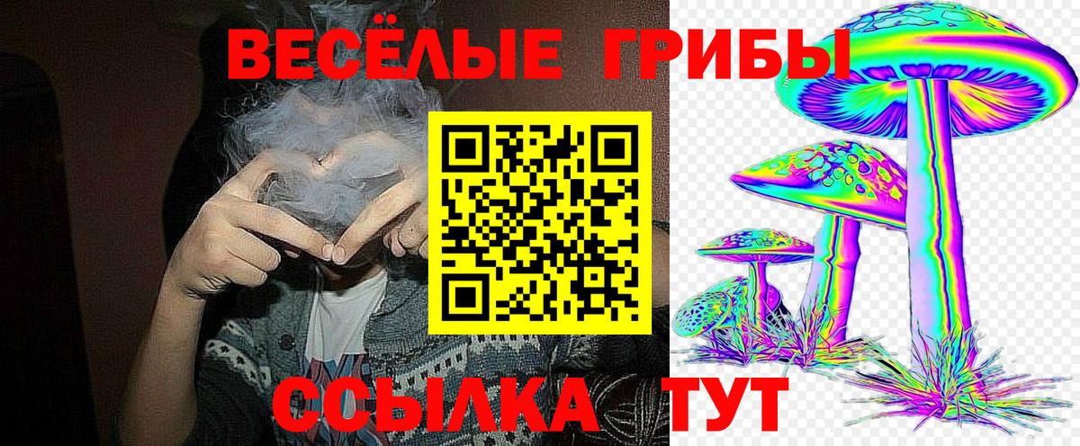 Псилоцибиновые грибы ЛСД  Вход с VPN  Кунгур 