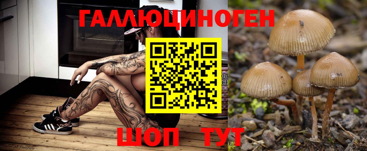 КОКАИН Кунгур